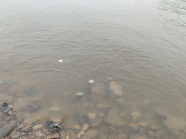 半导体芯片封装，，，，砂轮划片机施展着主要的作用！